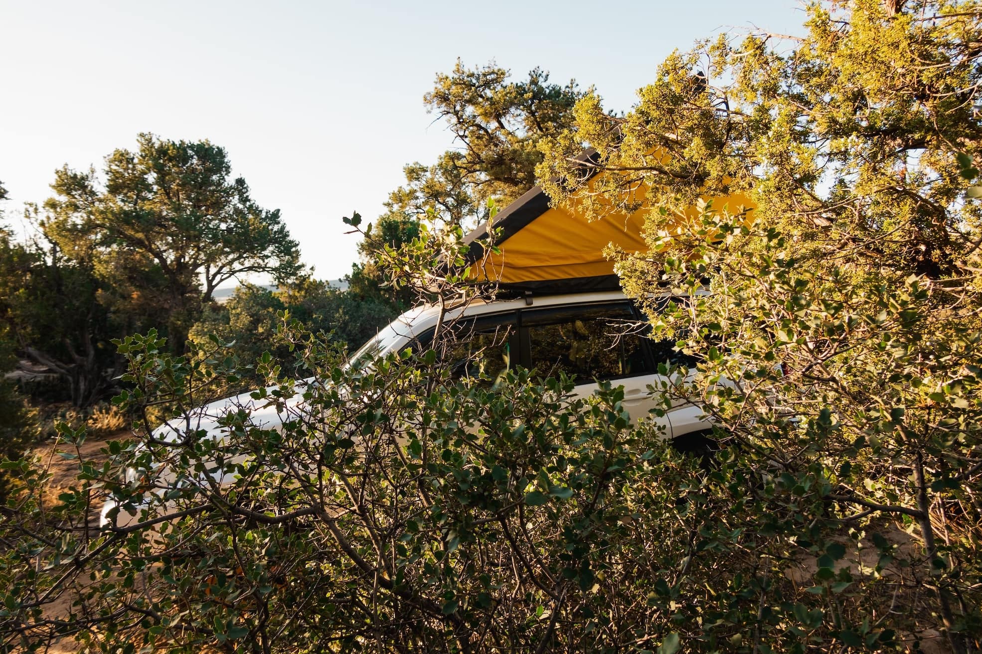 A white SUV with a yellow rooftop tent parked in a wooded area, partially obscured by the surrounding greenery, evoking a sense of adventure and outdoor living.