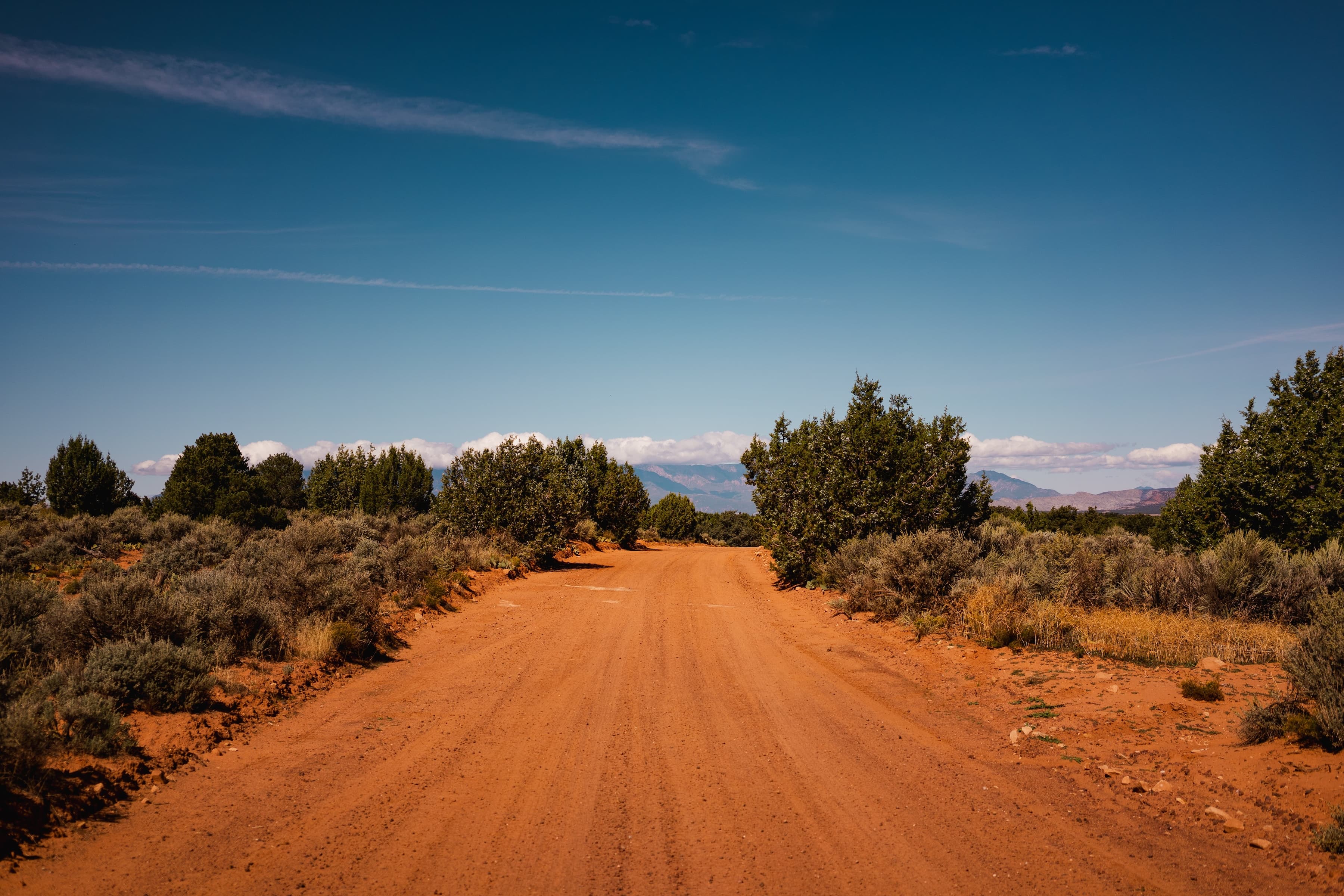 A dusty red dirt road meanders through a serene desert landscape, flanked by shrubs under a vast blue sky.