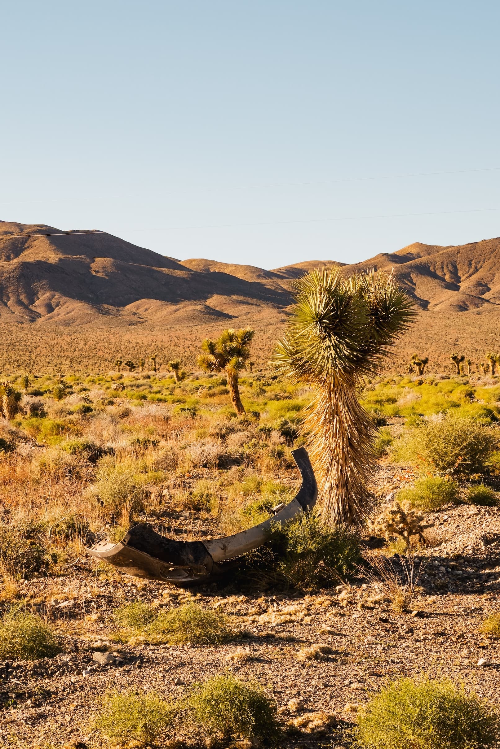 A desert scene with a broken off car bumper, Joshua tree in the foreground and rolling hills in the background under a clear blue sky.