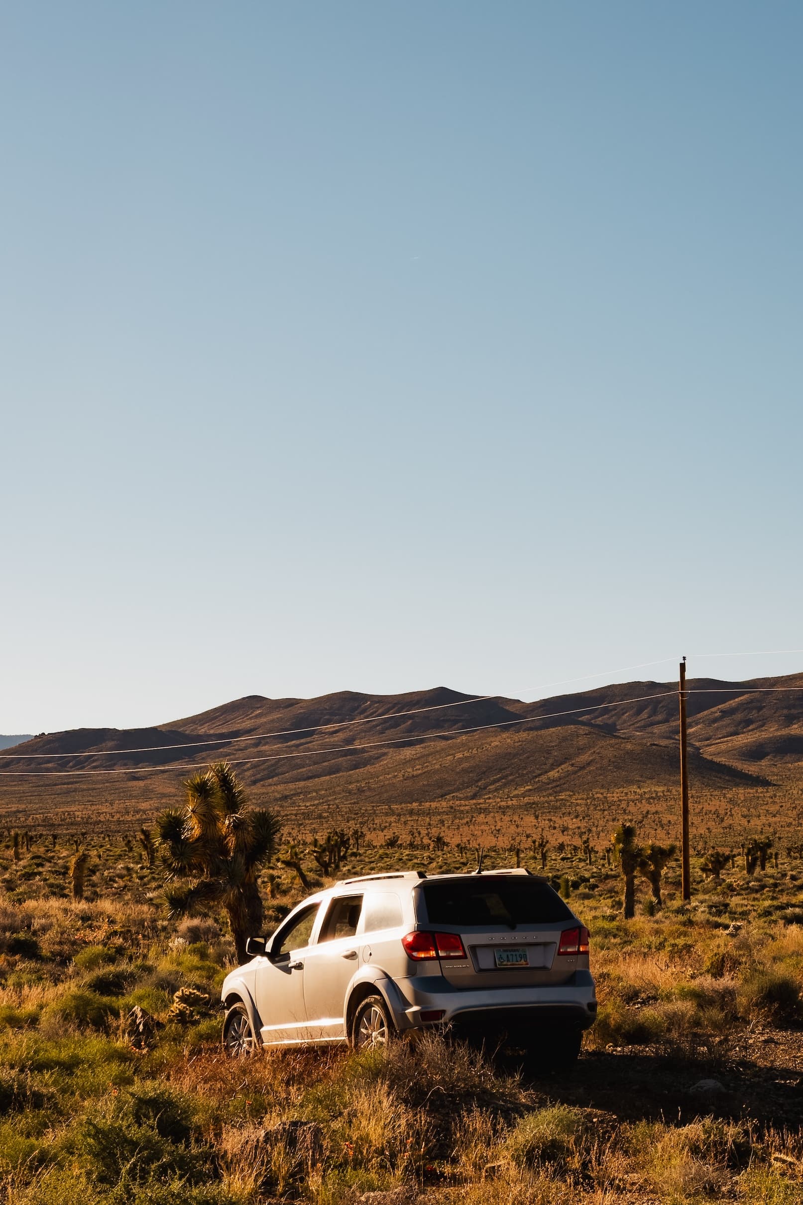 A silver SUV in the middle of the desert surrounded by Joshua trees, with rolling hills in the distance under a clear sky.