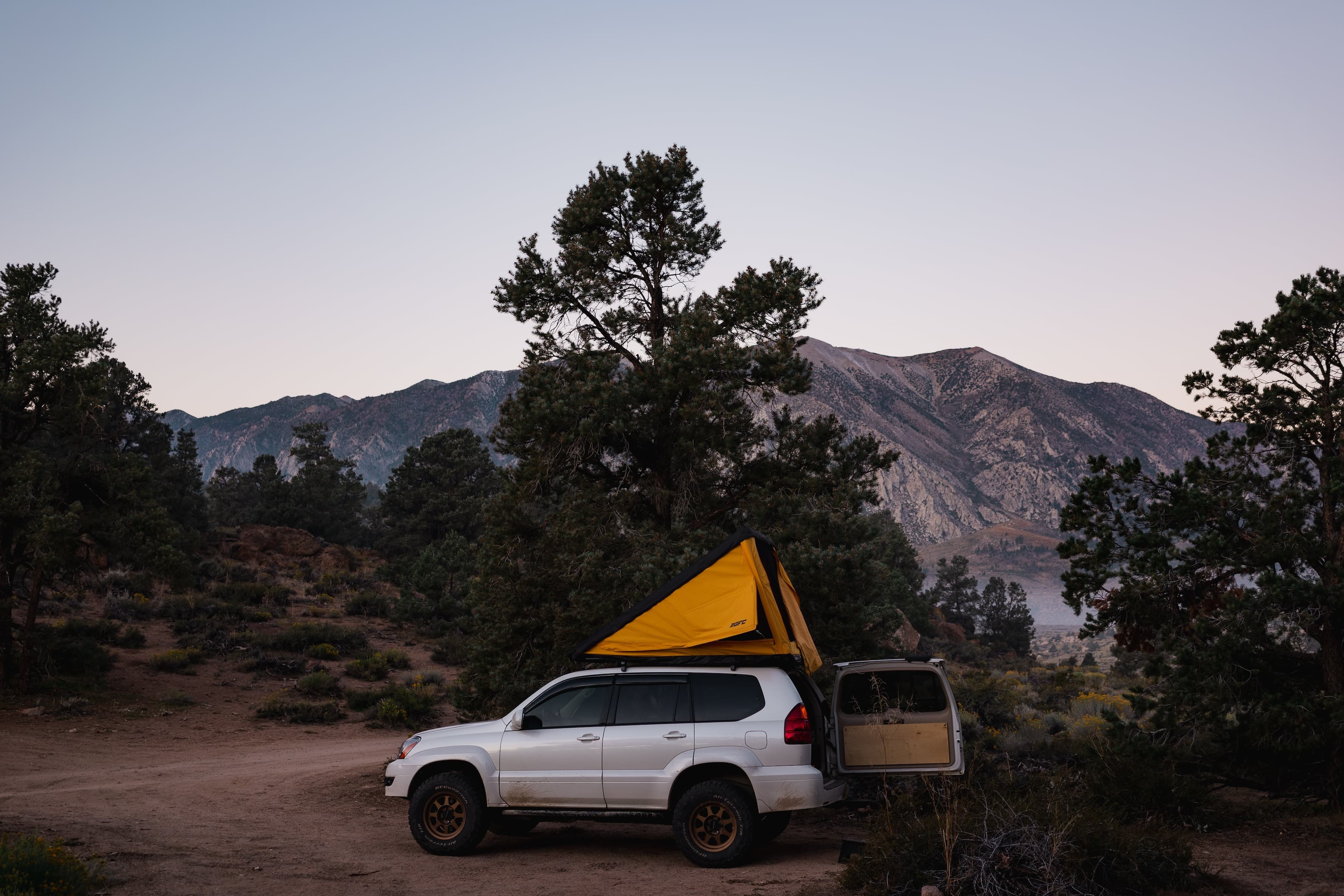 A white SUV with an open rooftop tent parked in a natural setting with pine trees and a mountainous background during morning that looks like dusk.