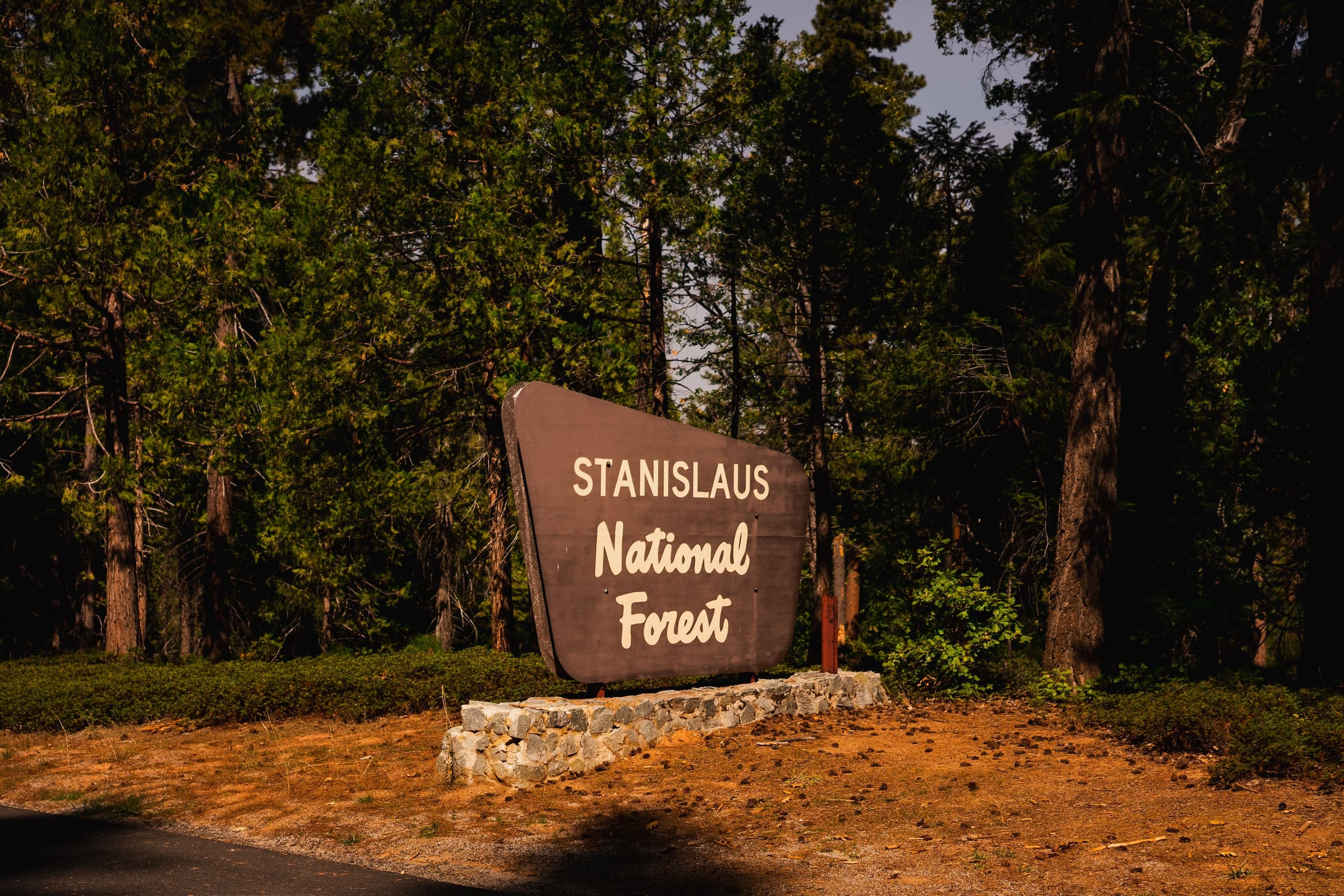The entrance sign of Stanislaus National Forest mounted on a stone base beside a road, surrounded by lush green pine trees.