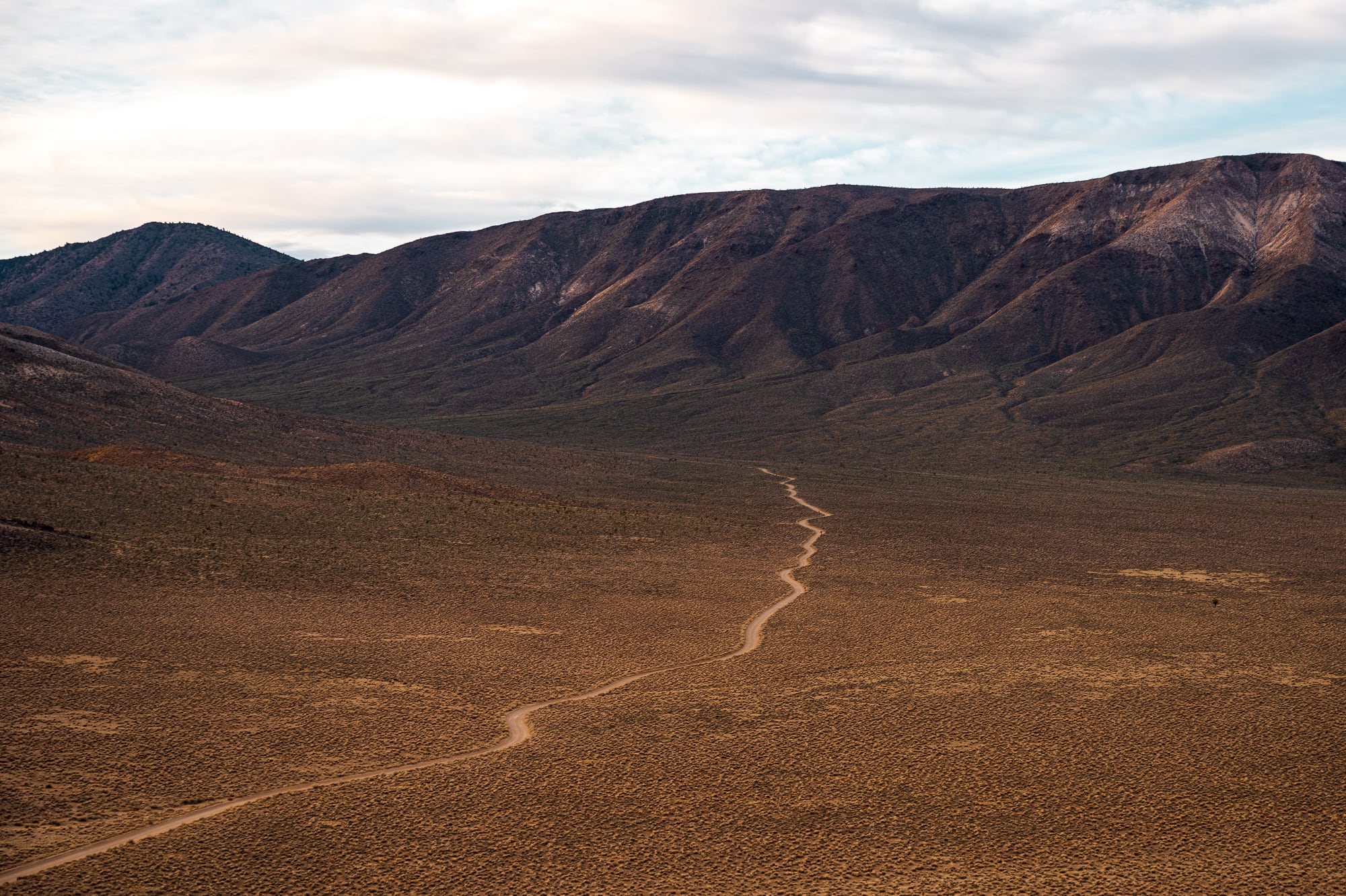 Road Hunting, Death Valley, California, USA