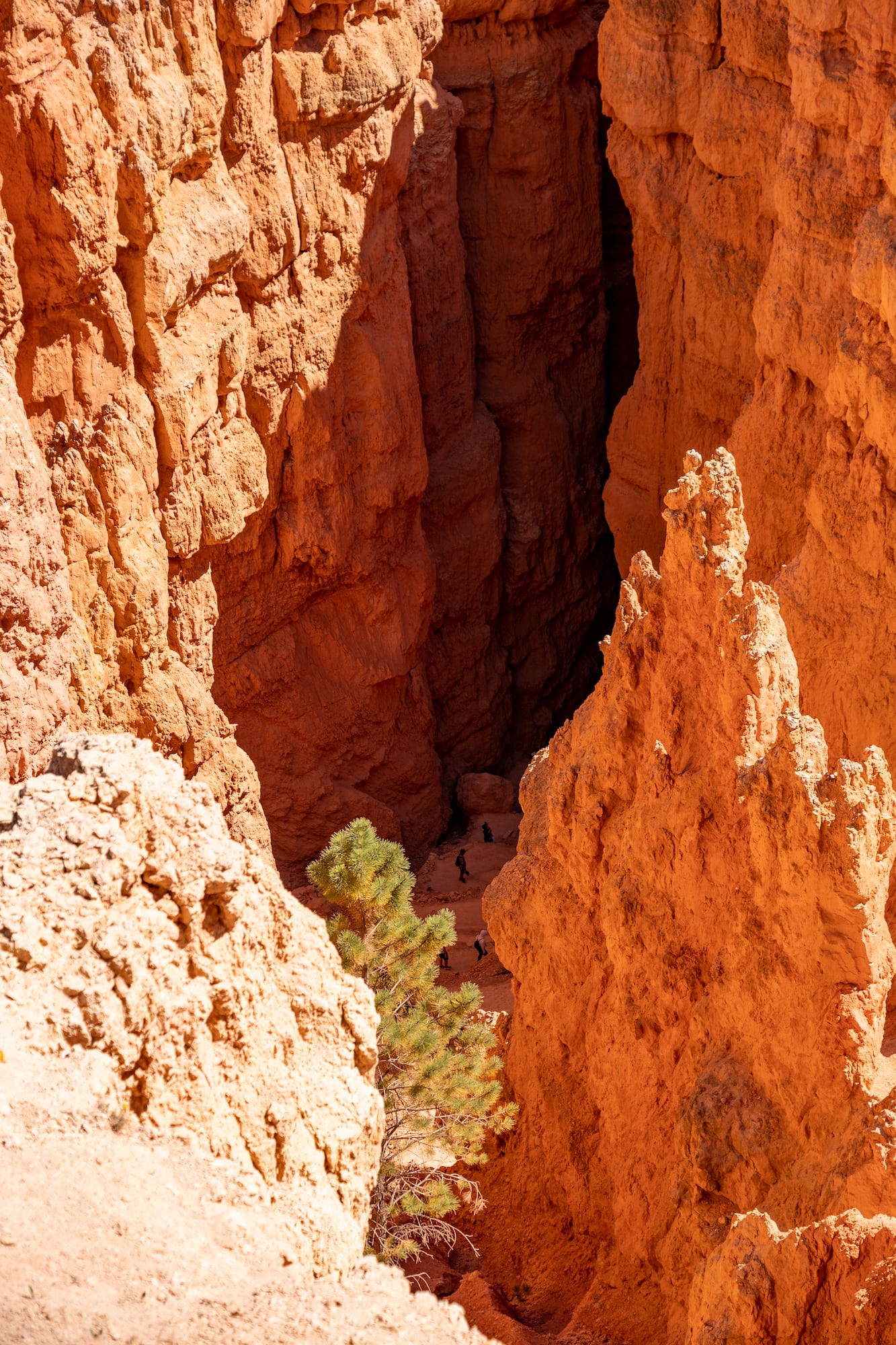 Enter the Red, Bryce Canyon, Utah, USA